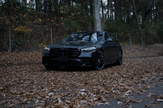 Dendy Kasyno Aplikacja Android/iOS